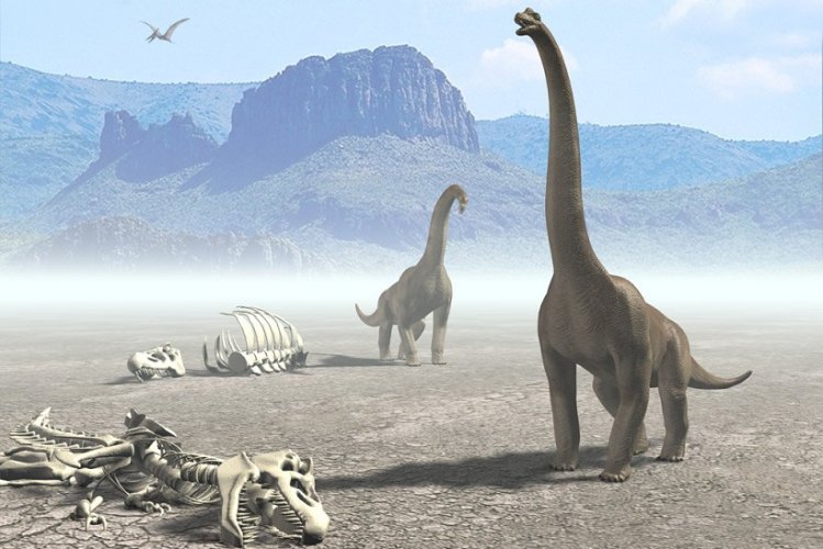 Esrpic-6567390e220b61-world69.spcs.bio.jpg Esrpic-6567390e220b61-world69.spcs.bio.jpg