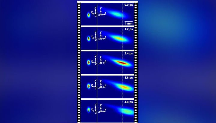 xw_1589896-world70.spcs.bio.jpg xw_1589896-world70.spcs.bio.jpg