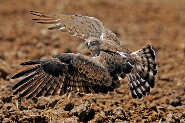 99683d149333260e46a4f9084627d1b2.png 99683d149333260e46a4f9084627d1b2.png