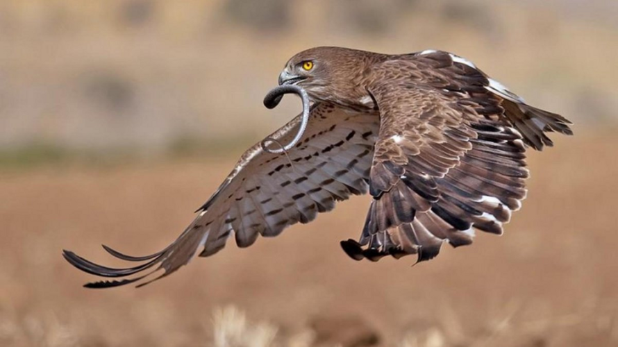 86dfe31bb131c26c445cef6924512b90.png 86dfe31bb131c26c445cef6924512b90.png