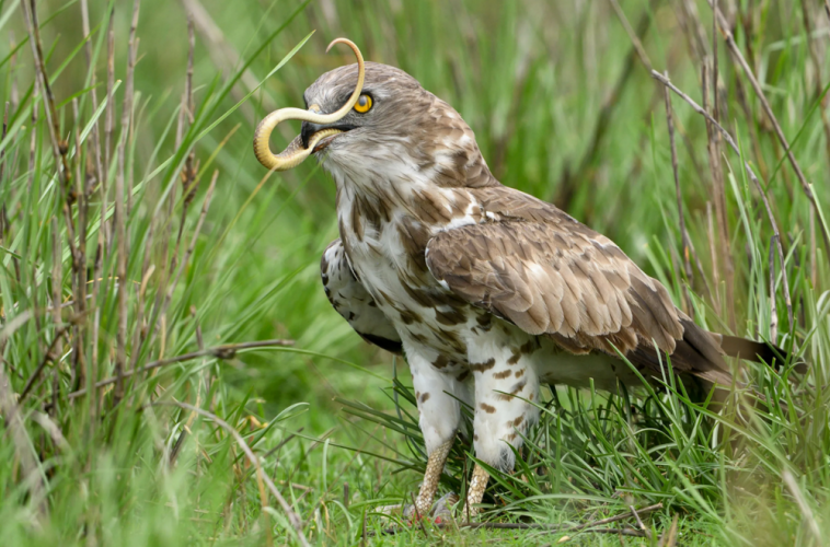 8b14a391e4416949dec7fa4c0559b16b.png 8b14a391e4416949dec7fa4c0559b16b.png