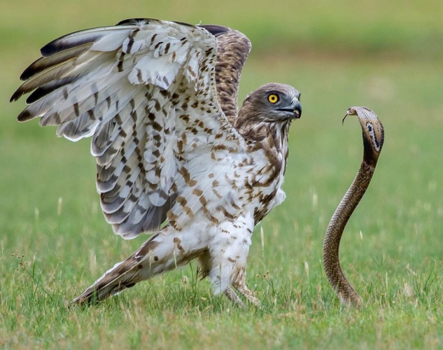 ec9deb69da0e6c53206a629e2b0f73d5 (1).png ec9deb69da0e6c53206a629e2b0f73d5 (1).png