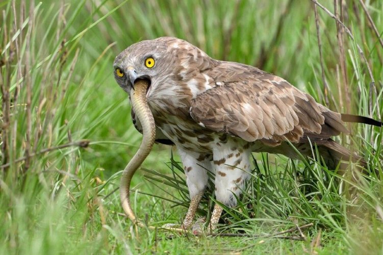 34f875cd8ff23d06b194a9d29cf58f1d.jpg 34f875cd8ff23d06b194a9d29cf58f1d.jpg