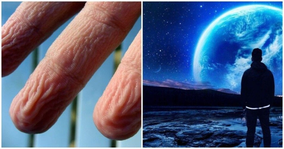 f7f3ccc4d7566d4ee0e471f400f40fe8.jpg f7f3ccc4d7566d4ee0e471f400f40fe8.jpg