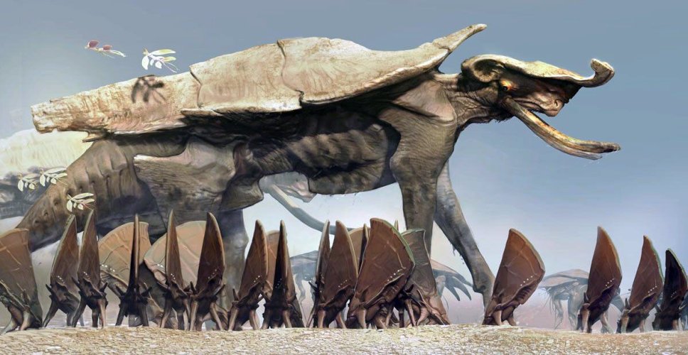 Scale_1200_(4)-world72.spcs.bio.jpg Scale_1200_(4)-world72.spcs.bio.jpg