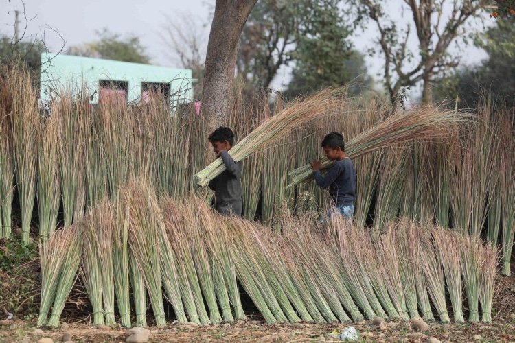 18a067cef23bedece2440d40ea63bebb.jpg 18a067cef23bedece2440d40ea63bebb.jpg