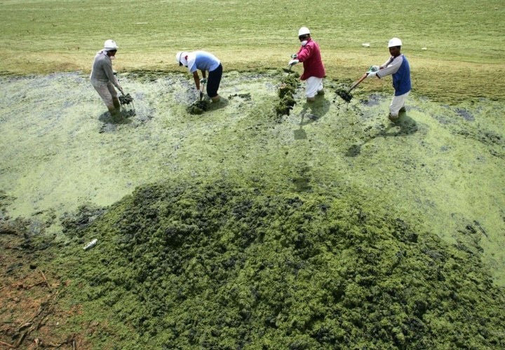 8e8efdddd5bdcfc459a1664338690d44.jpg 8e8efdddd5bdcfc459a1664338690d44.jpg