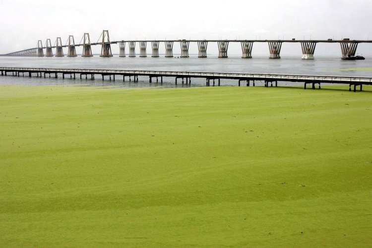 66aa9bdeead794b42516a936aa71431d.jpg 66aa9bdeead794b42516a936aa71431d.jpg