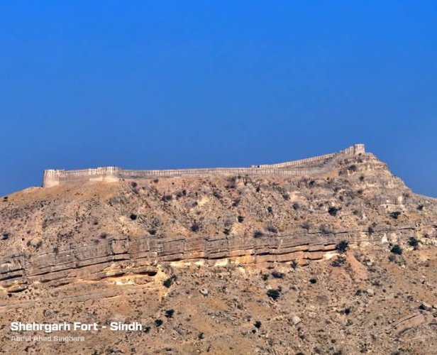 484376254_3818377545080241_740430615339158640_n.jpg 484376254_3818377545080241_740430615339158640_n.jpg