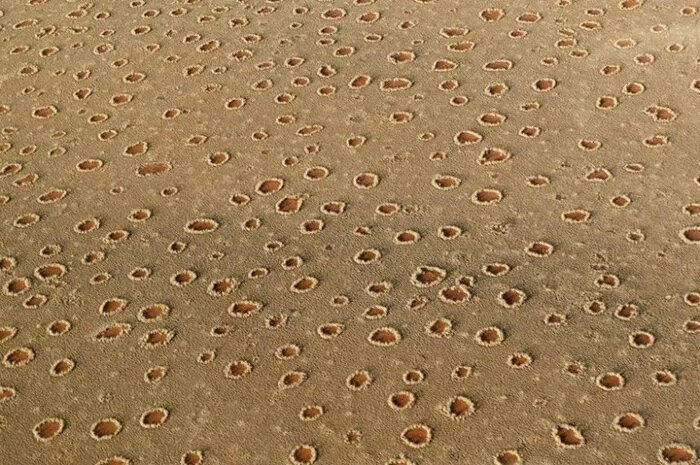 uehsjjgc.jpg uehsjjgc.jpg