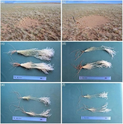 vahrdjzs.jpg vahrdjzs.jpg