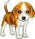 mini_gif_dog_by_mydreammagic-d6no9cx.gif