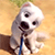 dog_face_by_tumthe3-d7mj4a8.gif